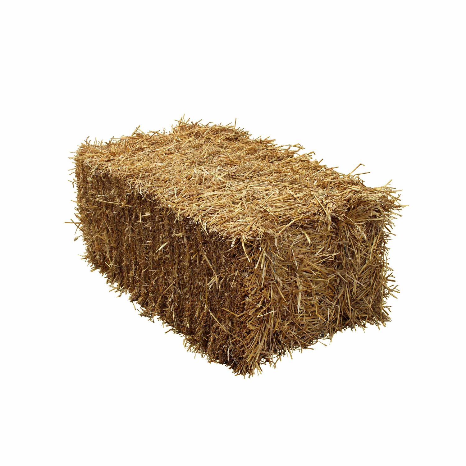 SMALL TRAVEL BALE Wheaten Hay NEWMAN