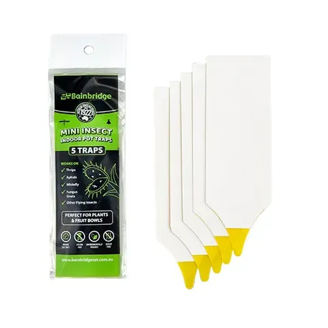 BAINBRIDGE Mini Insect Indoor Pot Traps NEWMAN