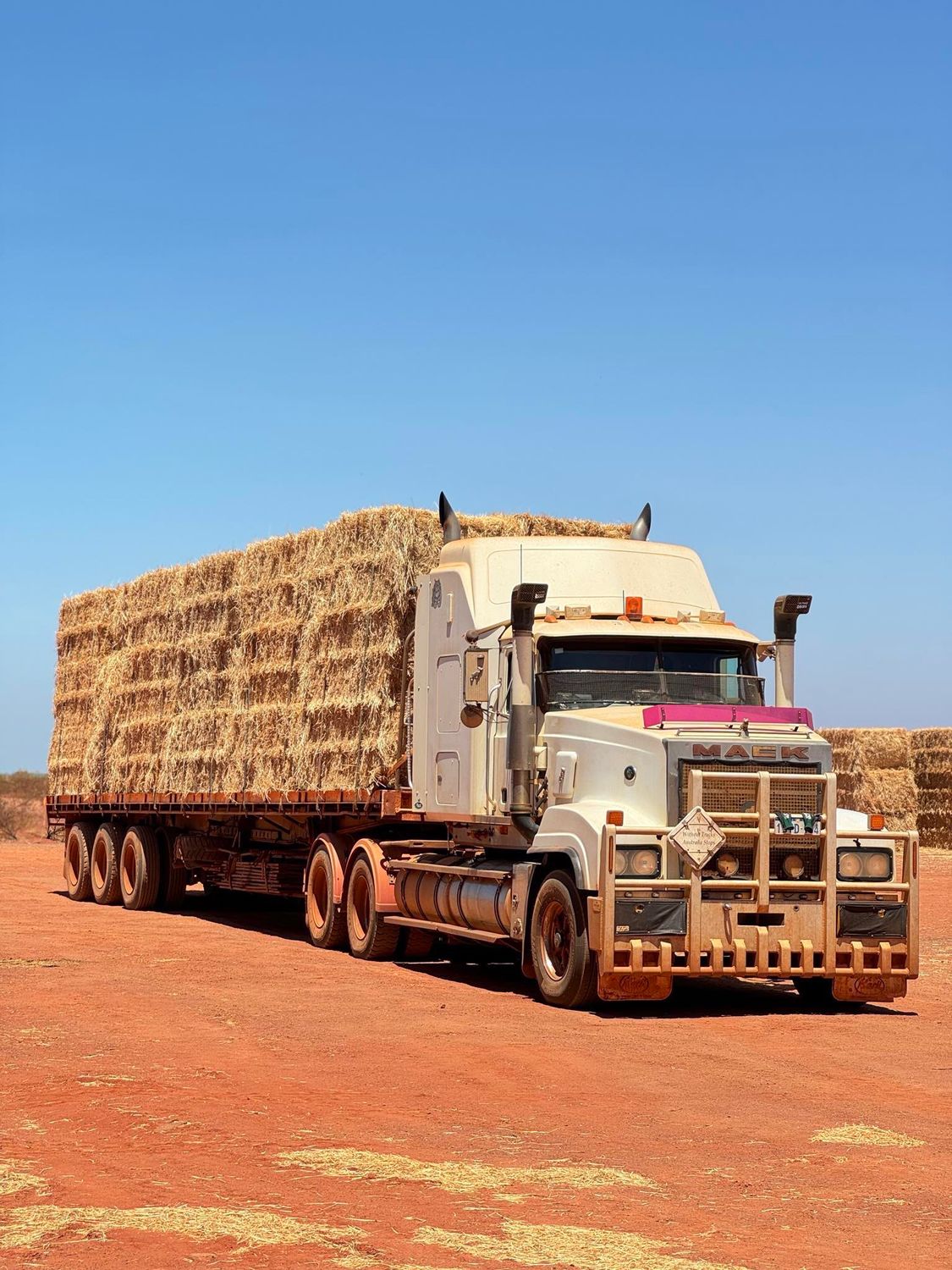 BIG SQUARE BALE Rhodes Grass Hay NEWMAN