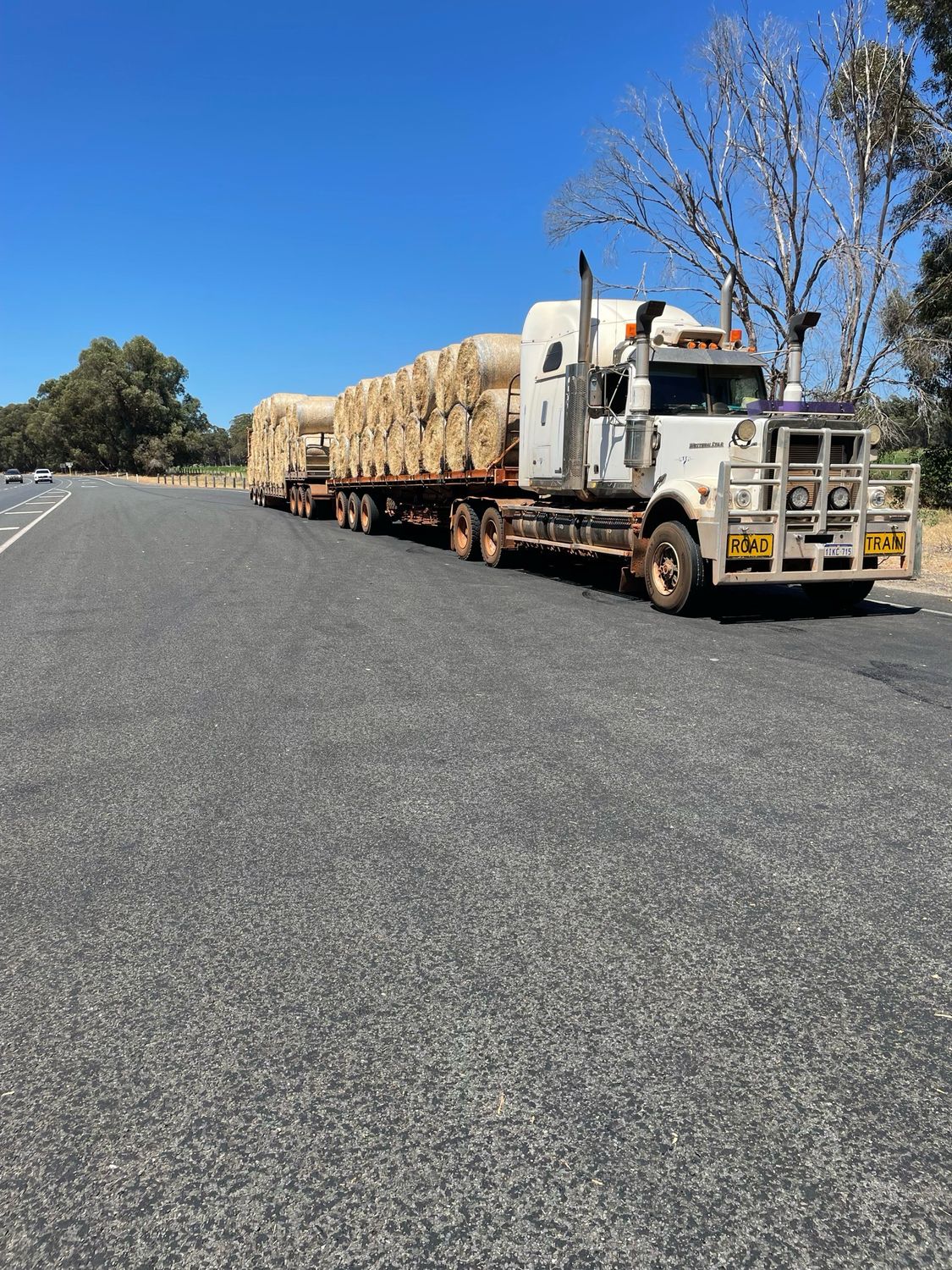 4ft ROUND BALE Rhodes Hay