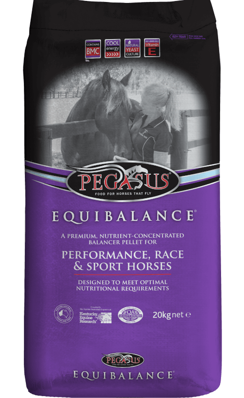 Pegasus ​Equibalance