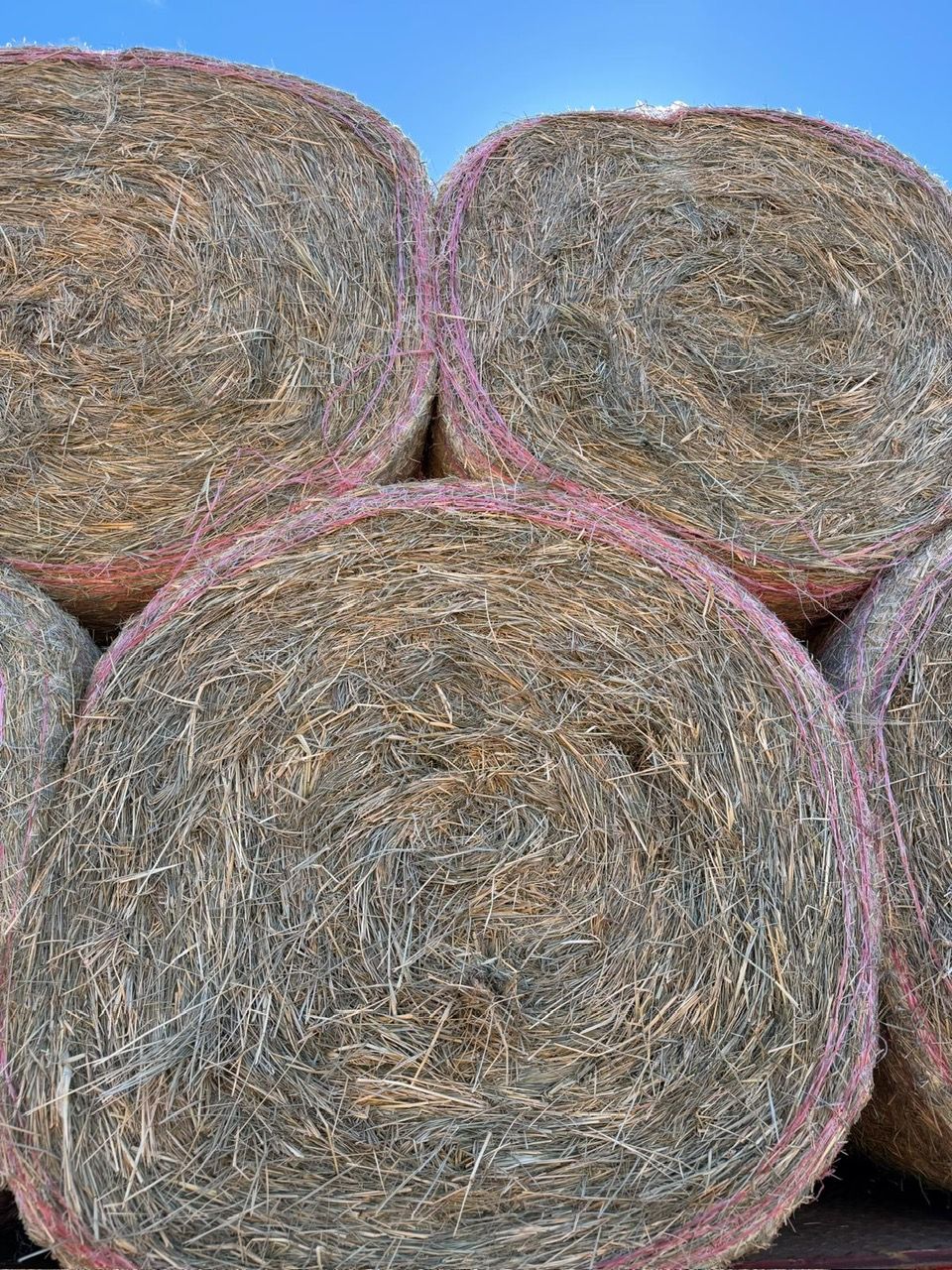 Round Rhodes Hay Newman