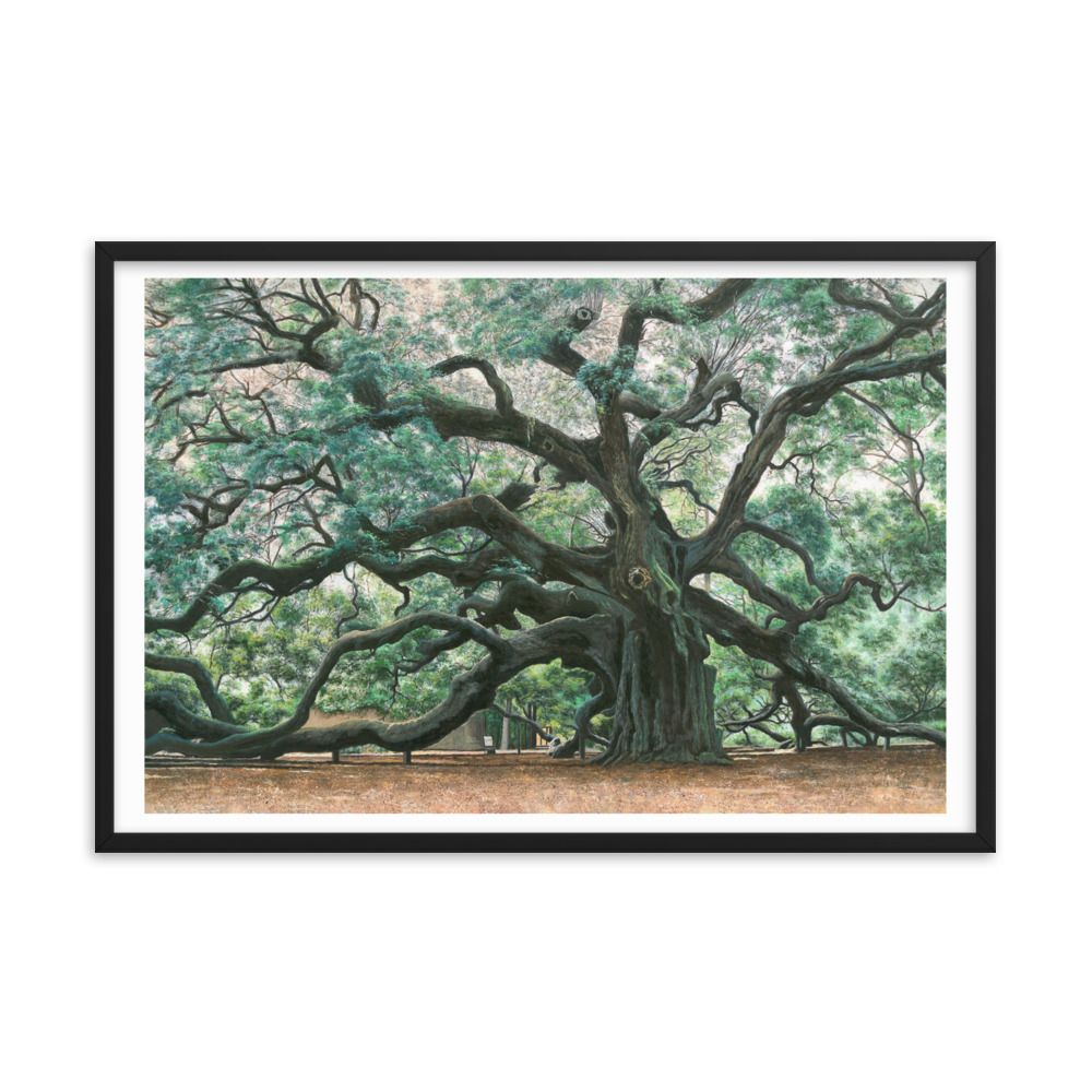 The Angel Oak