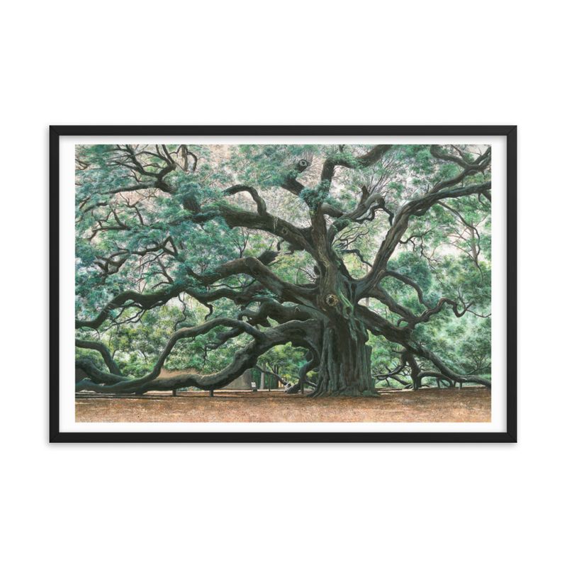 The Angel Oak