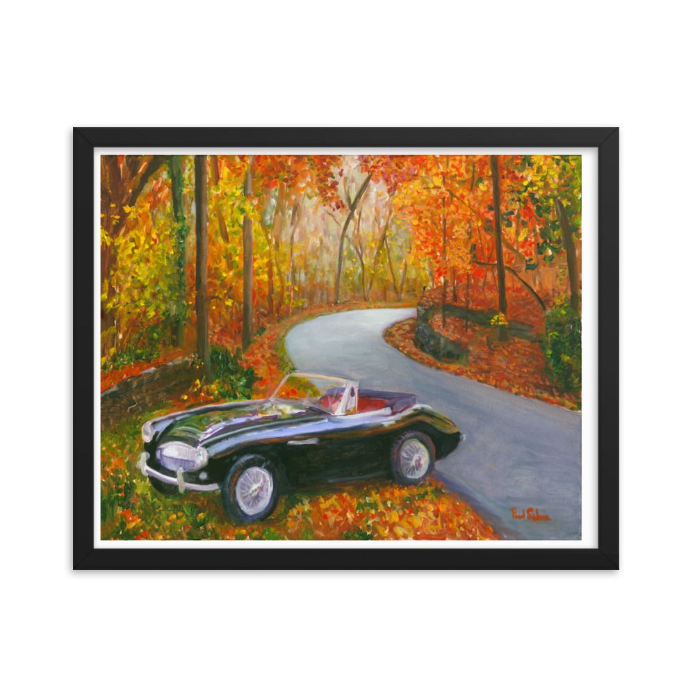 Austin Healy 3000