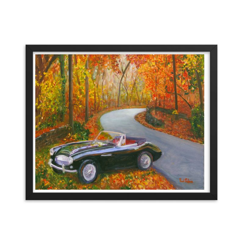 Austin Healy 3000