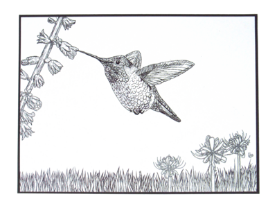 BubbasGarageTv - Hand Drawn Hummingbird Pen Sketch - by Shelby