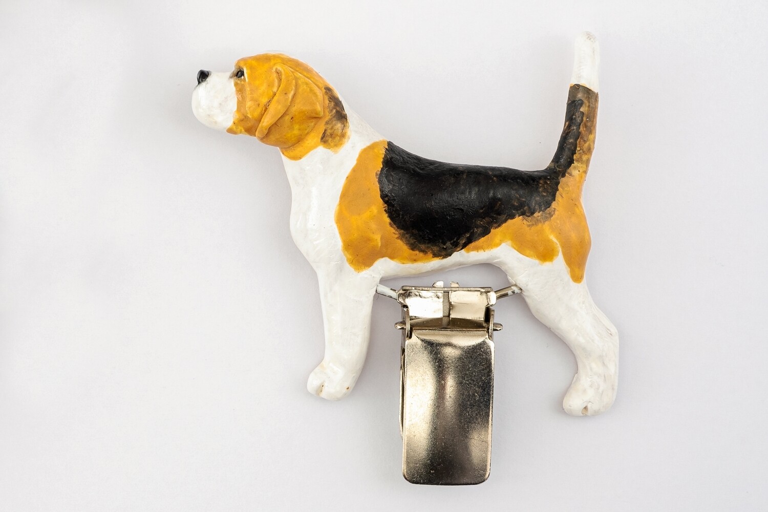 Showclip   Beagle tricolor