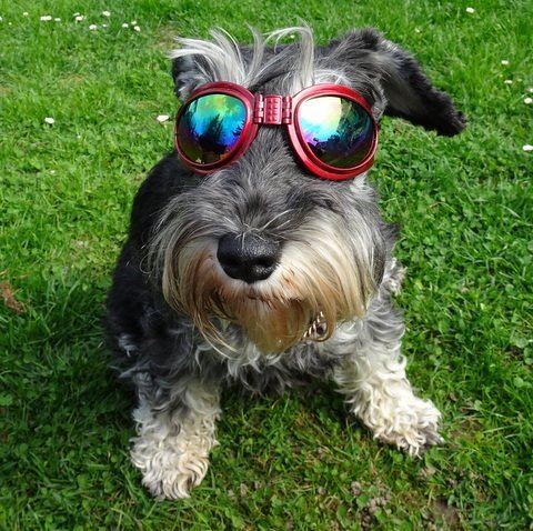 Sonnenbrille Cool_Cabrio rot