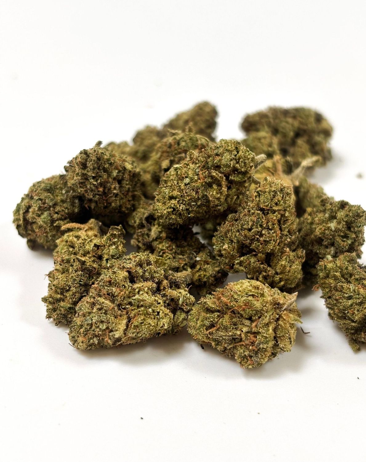 Middle buds Cannacheese premium++ 12% de CBD