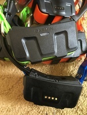Refurbished Collar Garmin DC50 US Version