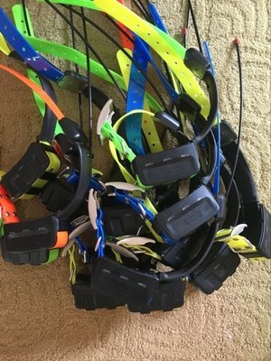 COLLARI GARMIN DC50 - T5 - TT15