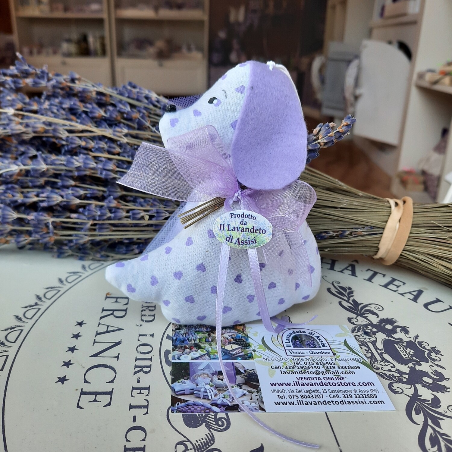 Cagnolino con fiori di lavanda all&#39;interno e confetti