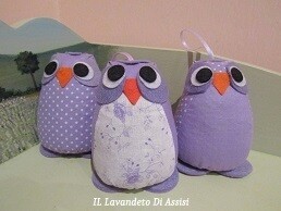 Gufo con lavanda (Colori sul viola) (Uno)