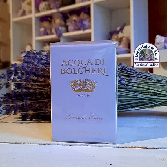 Profumo alla lavanda Acqua di Bolgheri 50ml