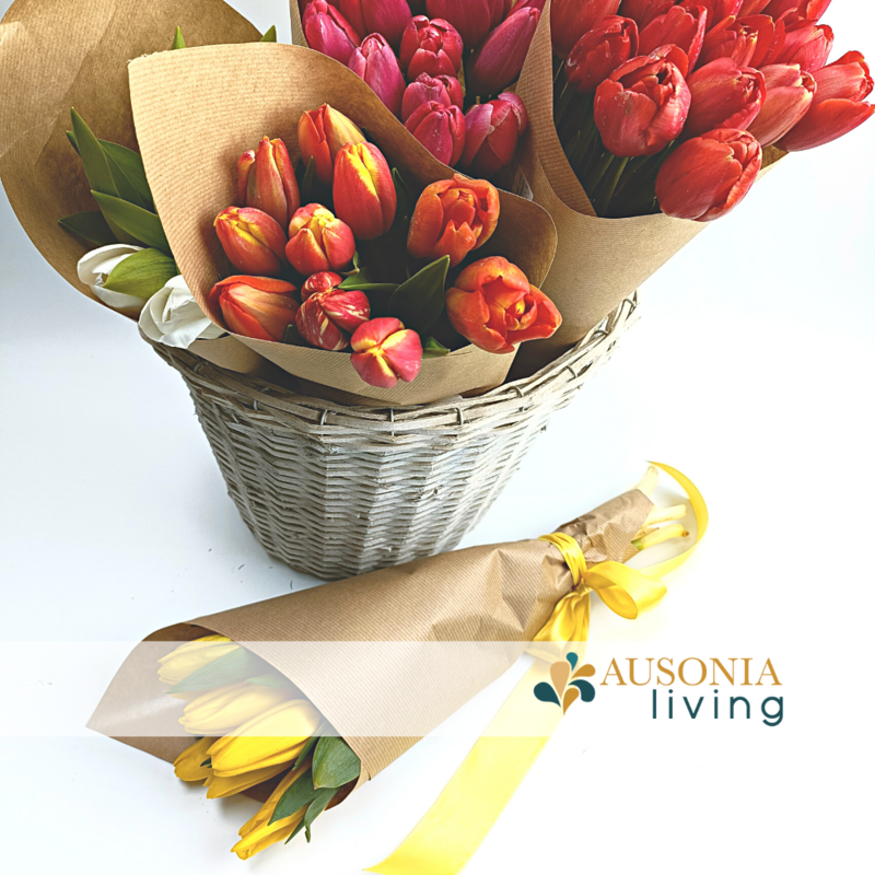 Cartoccio di Tulipani