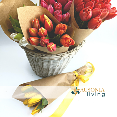 Cartoccio di Tulipani