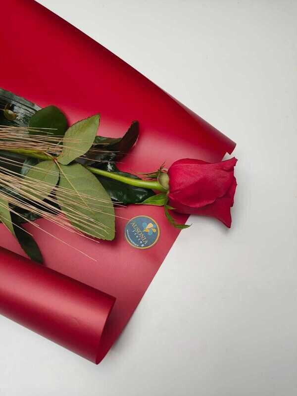 Rosa  Rossa Love