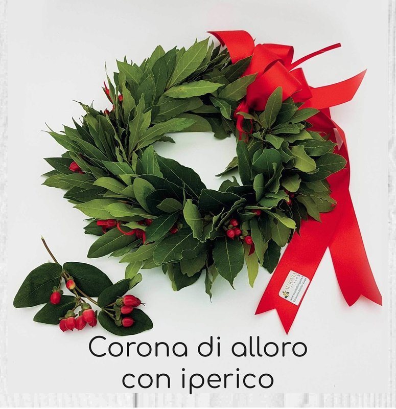 Coroncina Laurea Iperico