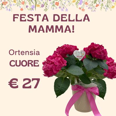 Ortensia CUORE