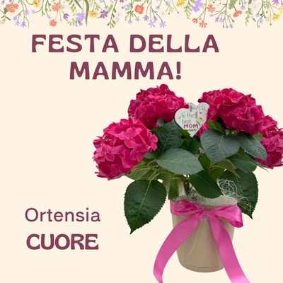 Ortensia CUORE