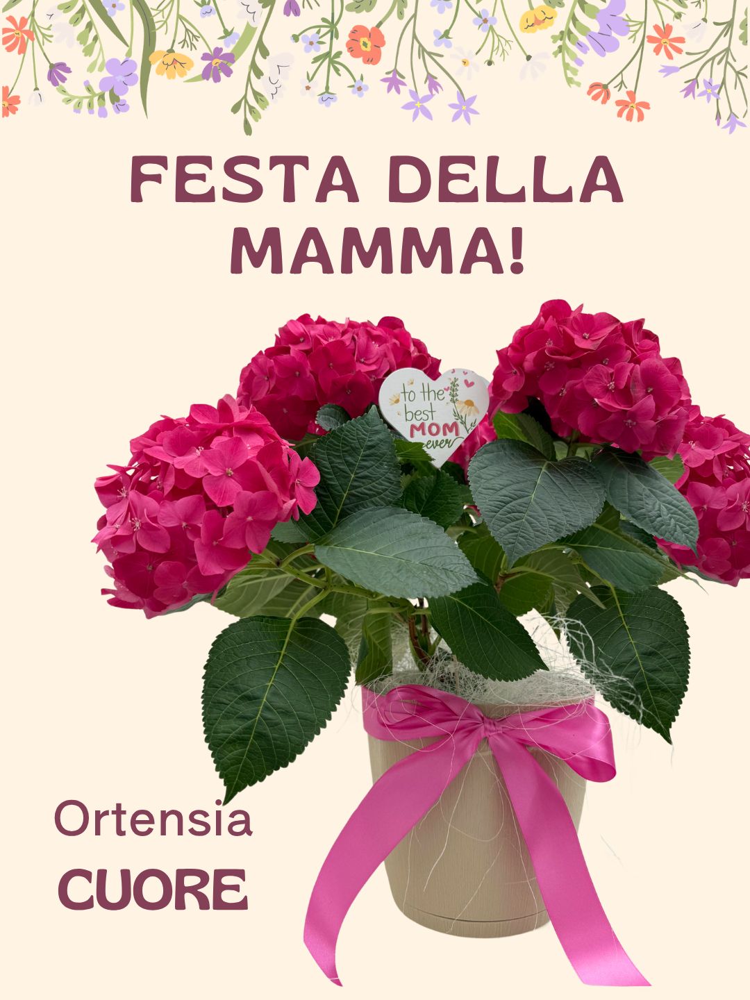 Ortensia CUORE