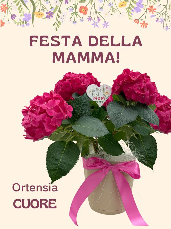 Ortensia CUORE