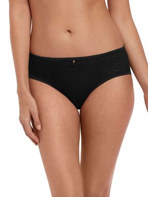 FRE5206 Starlight Short