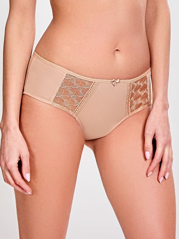 PAN7963 Cari Brief Panty