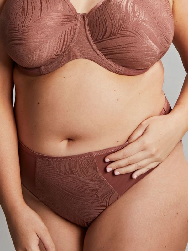 PANSC10704 Illuminate Deep Brief