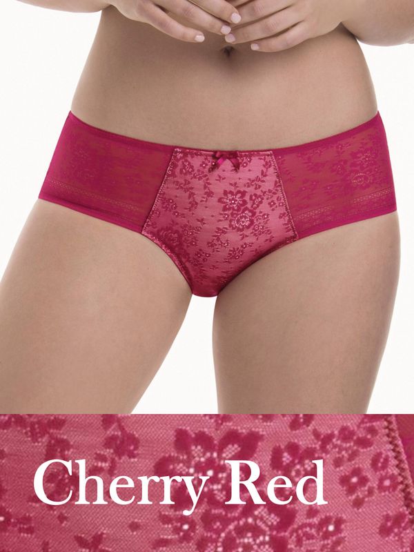 ANT1355 Fleur High Waist Brief