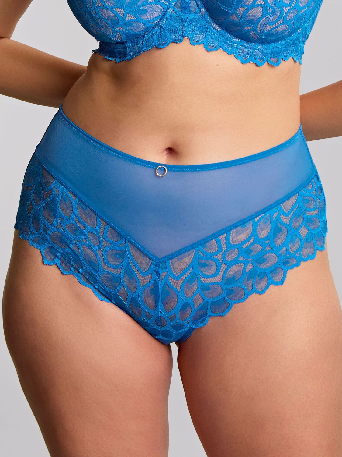 PAN10764 Allure Deep Brief