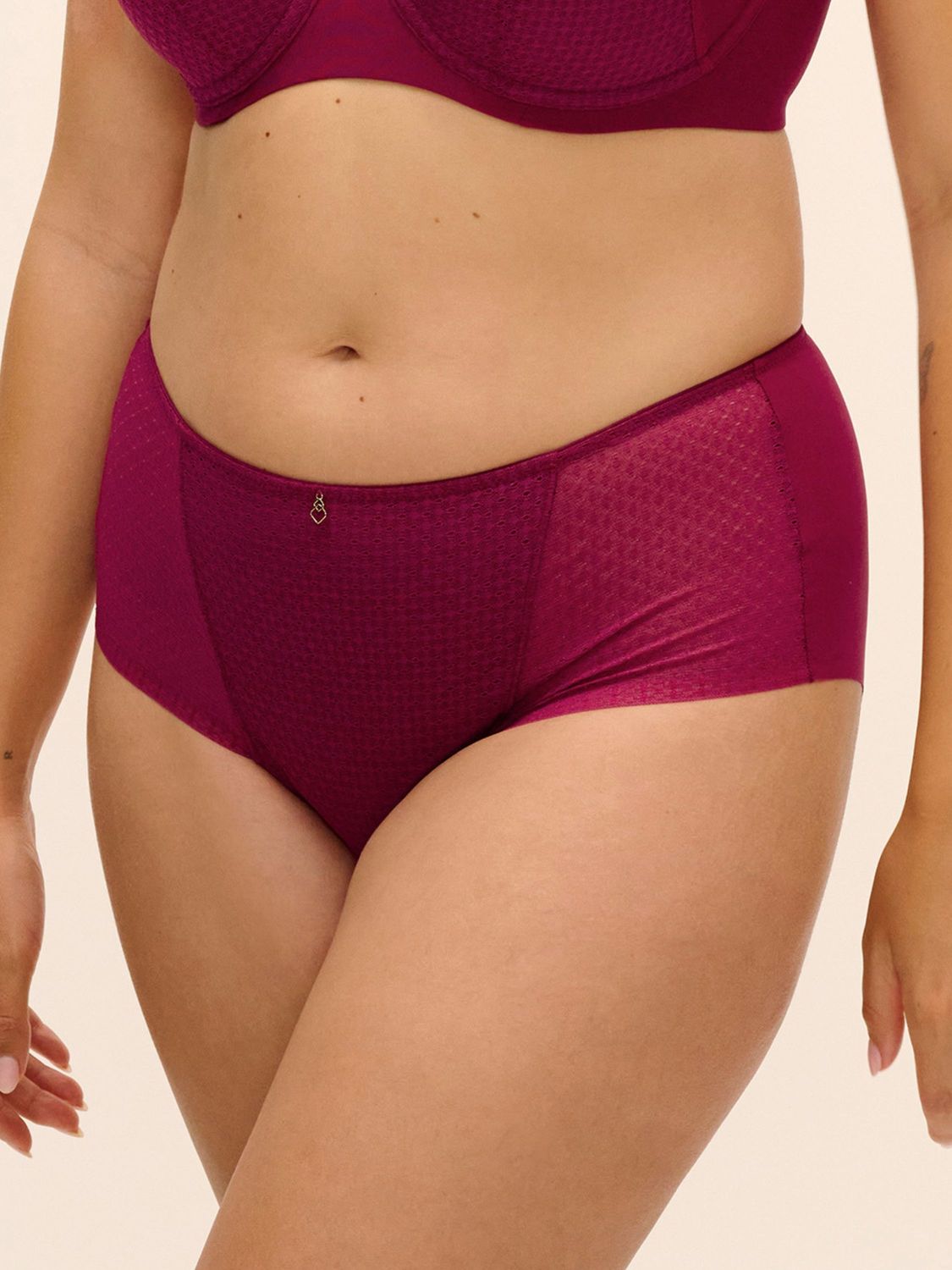 FAN104451 Evolution Comfort Full Brief, Color: Ruby, Size: Large