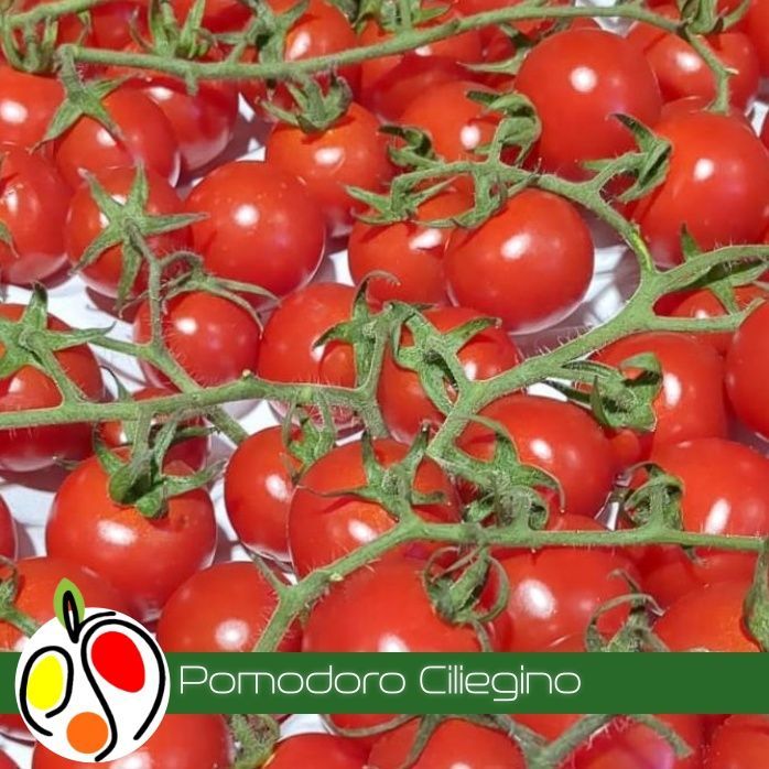 Pomodoro Ciliegino    500 gr