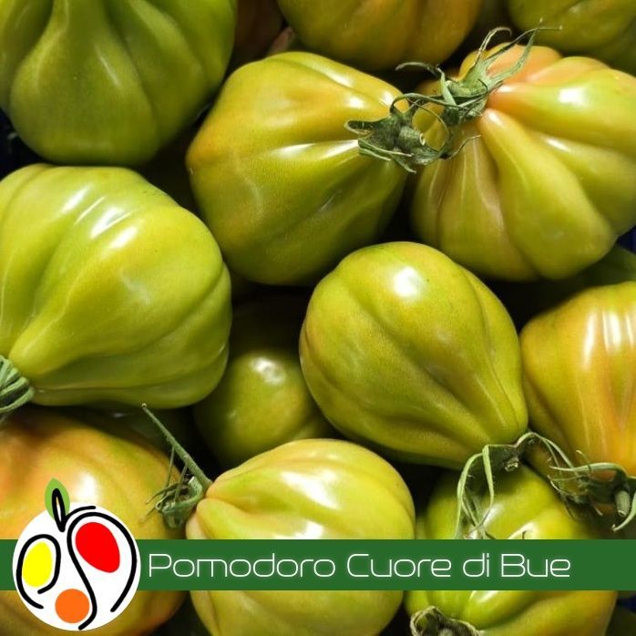 Pomodoro Cuore di Bue 1kg