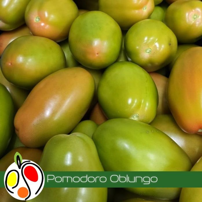 Pomodoro Oblungo 1kg