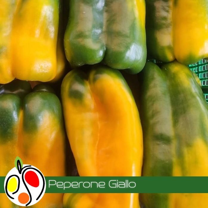 Peperone Giallo 1kg