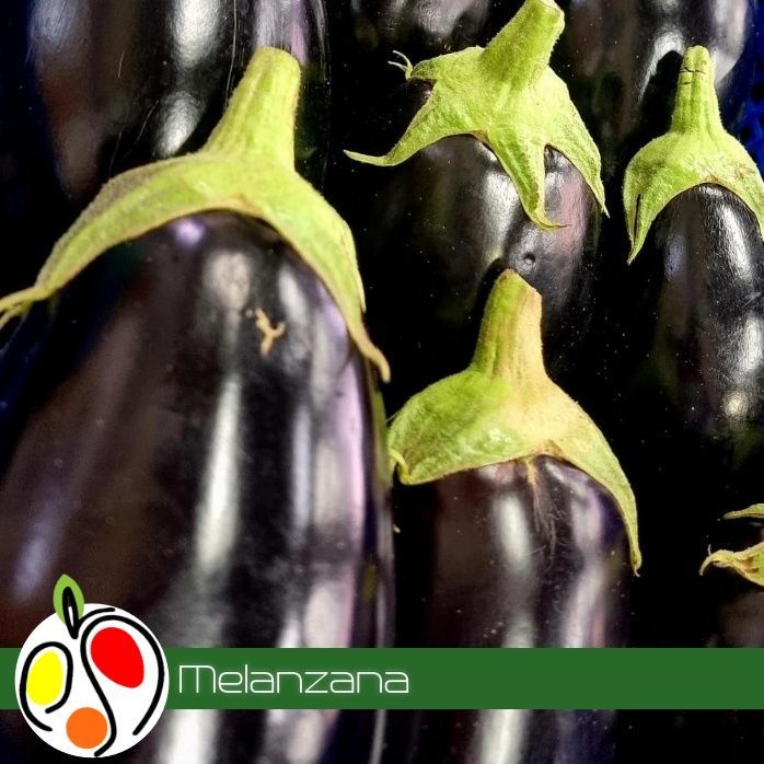 Melanzana 1kg