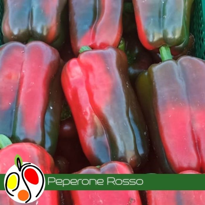Peperone Rosso 1kg