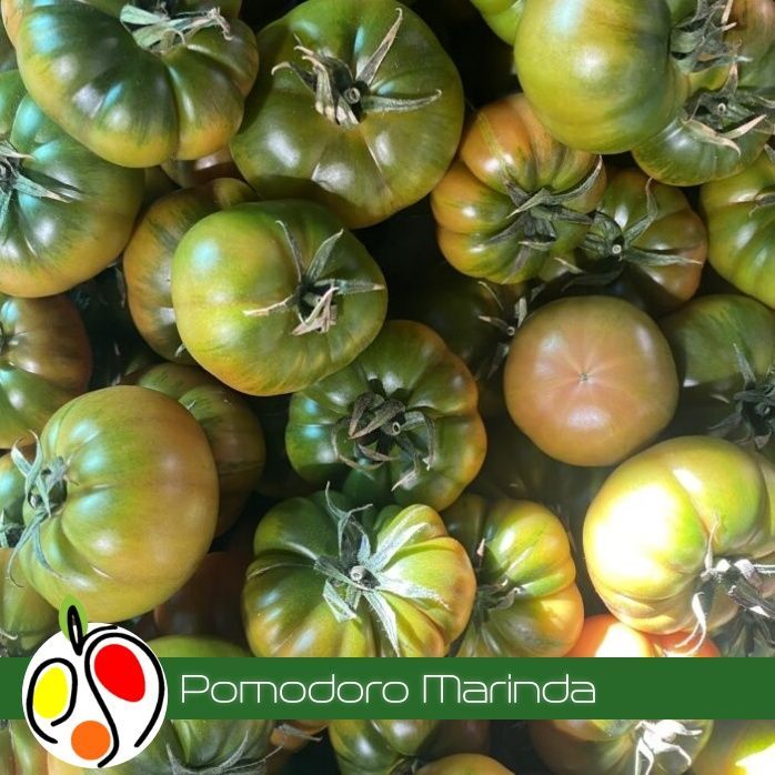 Pomodoro Marinda  500 gr