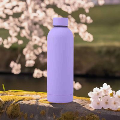 Double Wall Vacuum Bottle