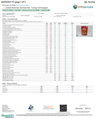 Cutleaf Mushroom Gummies 10 Count Turkey Tail