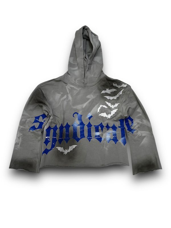 Syndicate &quot;Too Weird...&quot; Crop Hoodie (Grey/Blue)