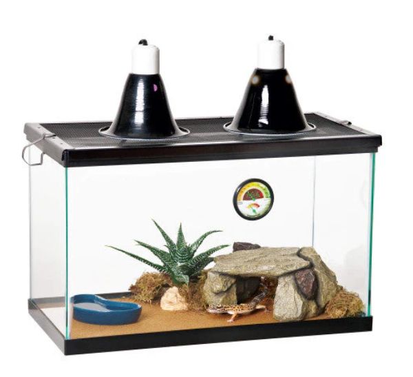 Zilla Desert Reptile Terrarium Starter Kit 10gal