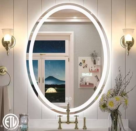 24 in. W x 32 in. H Oval Frameless Super Bright 192 Leds/m Lighted Ant