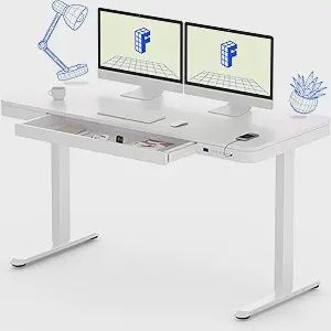 FLEXISPOT 55&quot; x 28&quot; Electric Standing Desk with Drawers,
