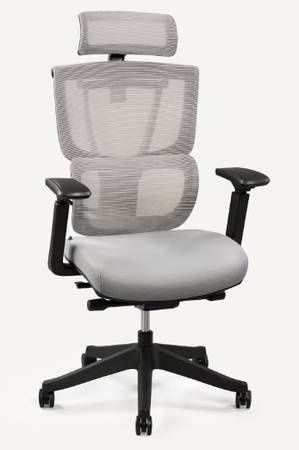 FLEXISPOT Premium Ergonomic Office Chair (C7) - 1