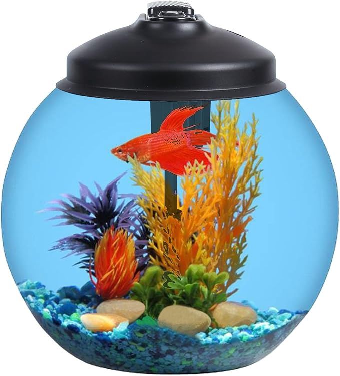 3-Gallon Fish Tank, Aquarium Starter Kit Includes Power Filter, LED