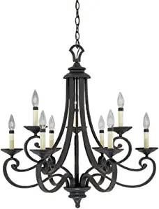 Designers Fountain 9039-NI Barcelona Chandelier, 9-Light, Black