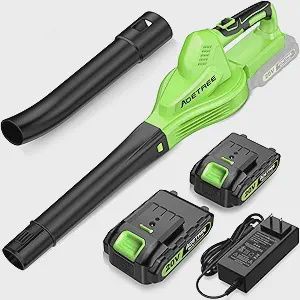 Cordless Leaf Blower - Lightweight Electric Blower with 2 Batteries &amp; Charger - 20V Battery Powered Small Handheld Blower for Lawn Care Green
